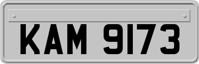 KAM9173