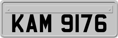 KAM9176