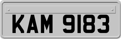 KAM9183
