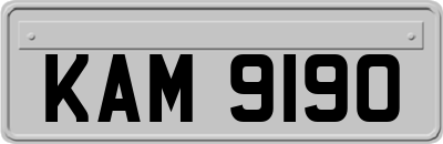 KAM9190