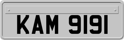 KAM9191