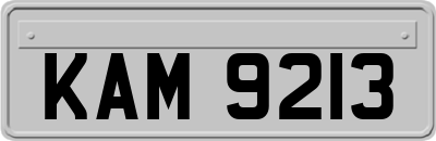 KAM9213