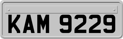 KAM9229