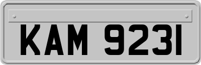 KAM9231