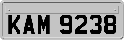 KAM9238