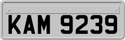 KAM9239