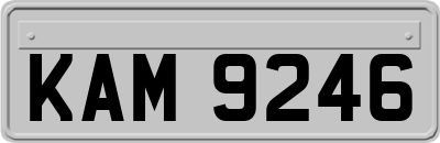 KAM9246