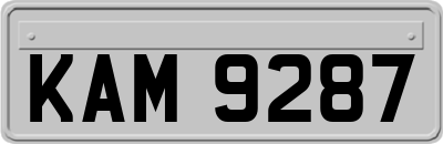 KAM9287