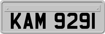 KAM9291