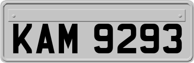 KAM9293