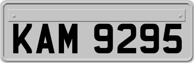 KAM9295