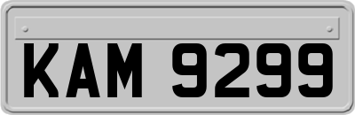 KAM9299
