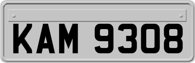 KAM9308