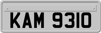 KAM9310