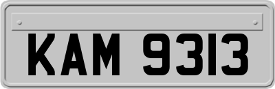 KAM9313