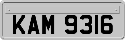 KAM9316