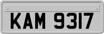 KAM9317