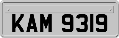 KAM9319