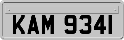 KAM9341