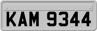 KAM9344