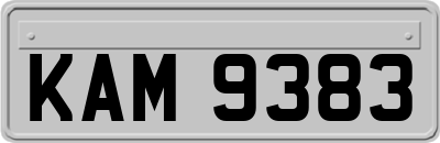 KAM9383