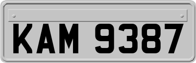 KAM9387
