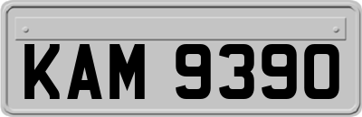 KAM9390