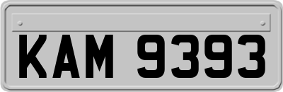 KAM9393