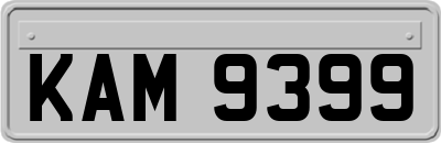 KAM9399