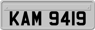 KAM9419
