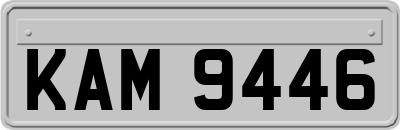 KAM9446