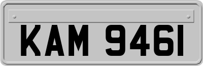 KAM9461
