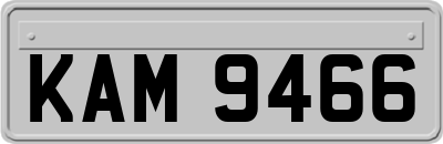 KAM9466