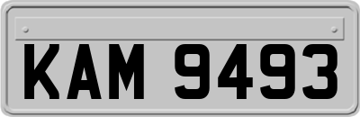 KAM9493