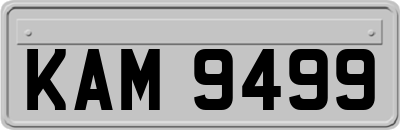 KAM9499