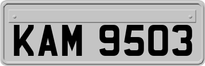 KAM9503
