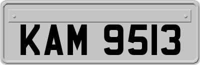 KAM9513