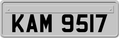 KAM9517