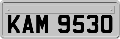 KAM9530