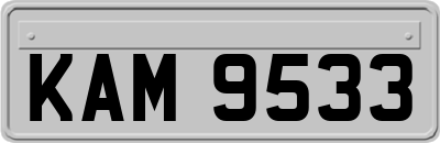 KAM9533