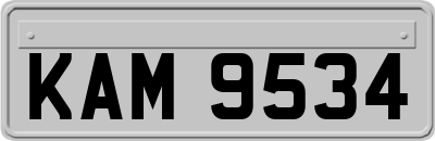 KAM9534
