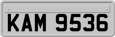 KAM9536