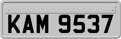 KAM9537