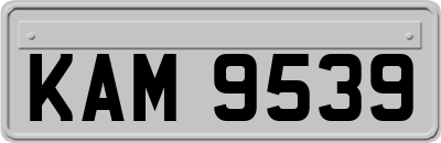KAM9539