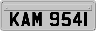 KAM9541