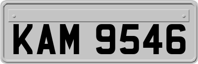 KAM9546
