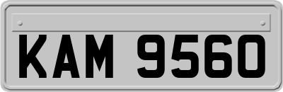 KAM9560