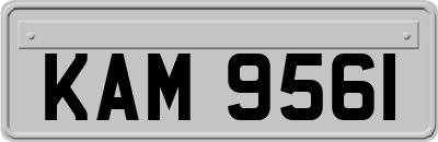 KAM9561