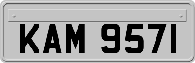 KAM9571