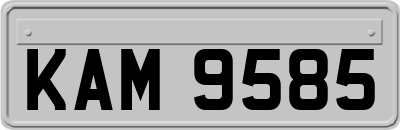 KAM9585